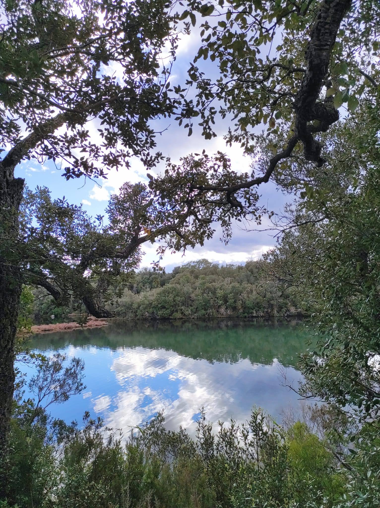 Photo n° 4 de l'avis de Jean-Baptiste.o fait le 05/11/2021 à 17:32
