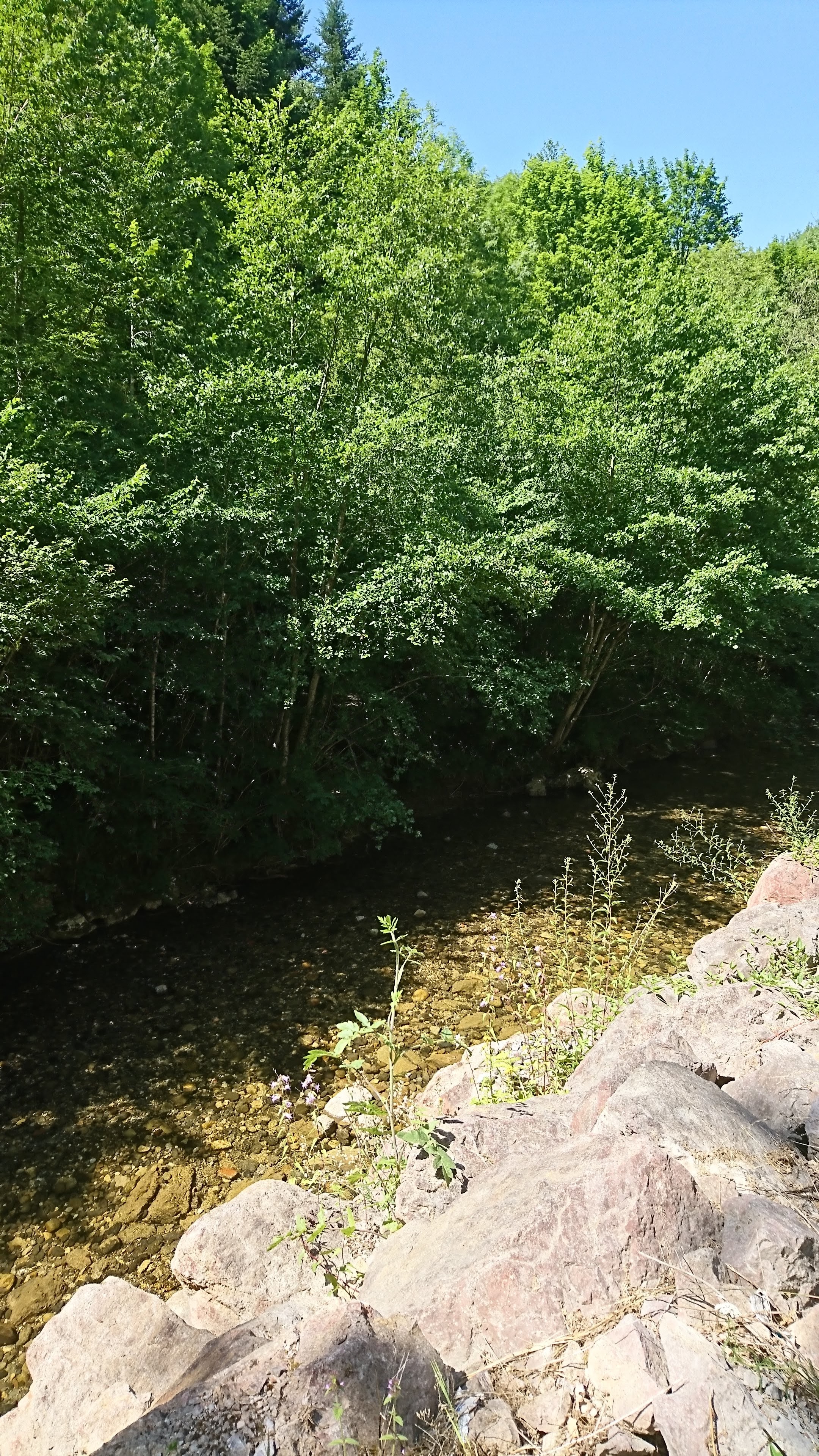 Photo n° 2 de l'avis de Françoise.a fait le 16/07/2019 à 11:10