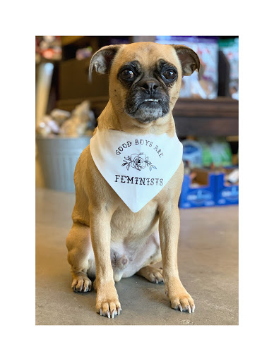 Pet Supply Store «Dog Dish», reviews and photos, 1778 Utica Square, Tulsa, OK 74114, USA