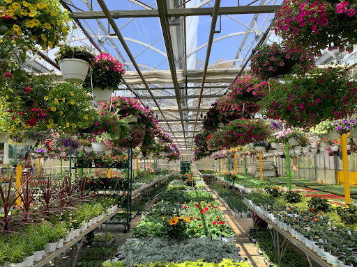 Florist «Dutch & Olgas Greenhouse», reviews and photos, 1285 NJ-36, Hazlet, NJ 07730, USA