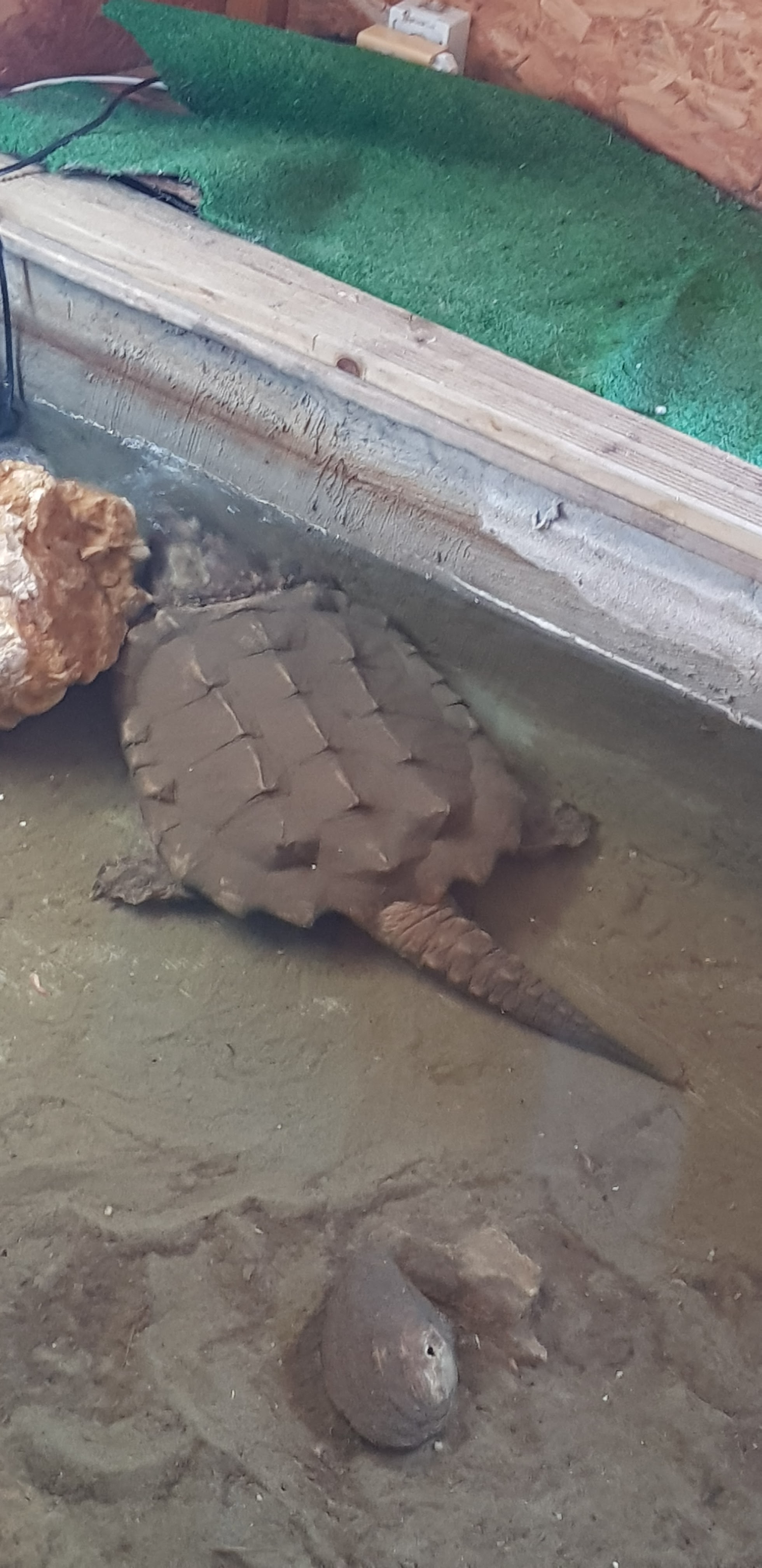 Photo n° 2 de l'avis de Valérie.o fait le 29/08/2018 à 07:52