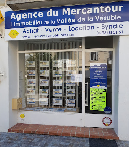 Agence immobilière Mercantour Vésubie Roquebillière