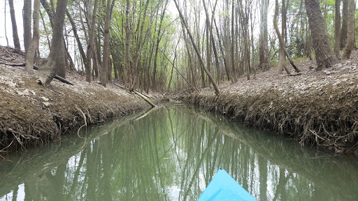 Golf Course «Fendrich Golf Course», reviews and photos, 1900 E Diamond Ave, Evansville, IN 47711, USA