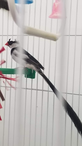 Pet Store «Adventure Birds of Bon Aqua», reviews and photos, 9600 TN-46, Bon Aqua, TN 37025, USA