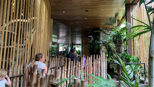 Aquarium «The Dallas World Aquarium», reviews and photos, 1801 N Griffin St, Dallas, TX 75202, USA