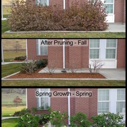 Landscaper «Elite Grounds L.C.», reviews and photos, 800 S Main St, Pleasant Grove, UT 84062, USA