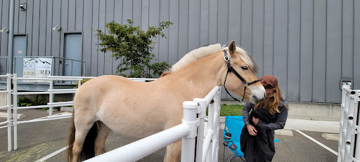 Museum «Nordic Heritage Museum», reviews and photos, 3014 NW 67th St, Seattle, WA 98117, USA