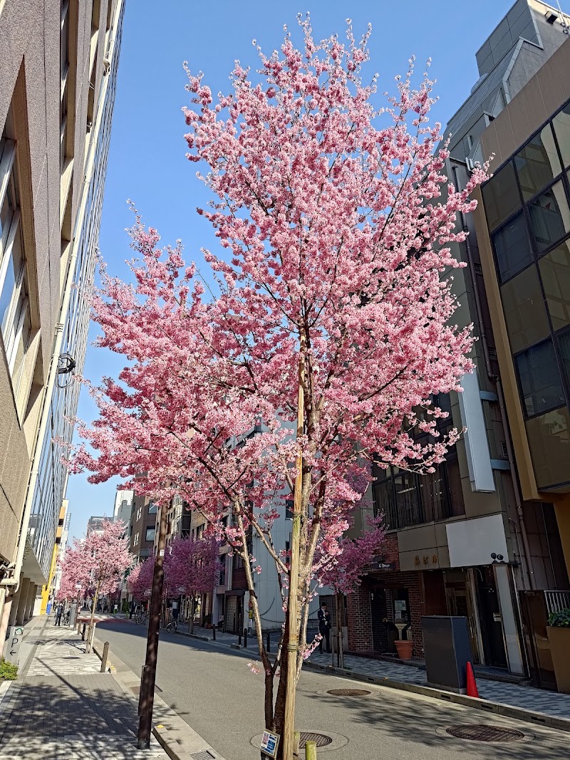 本銀通り