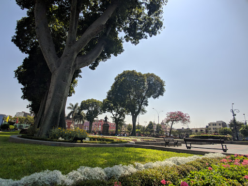 Parque Universitario