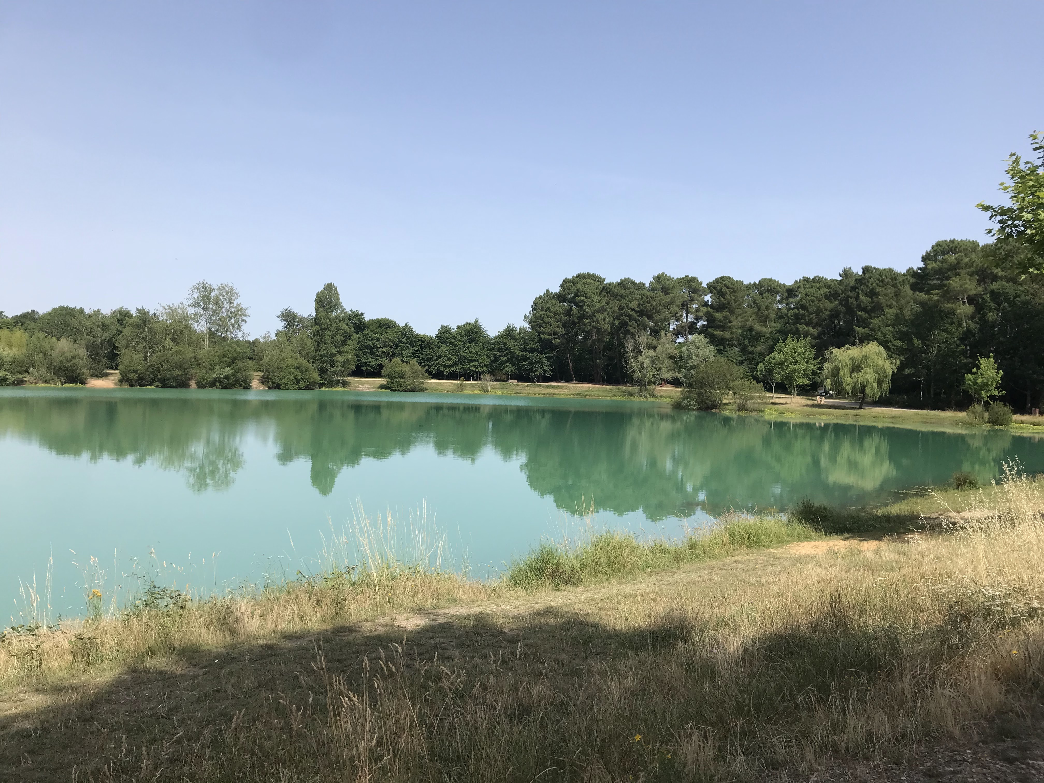 Photo n° 1 de l'avis de Takashi. fait le 29/06/2022 à 11:29