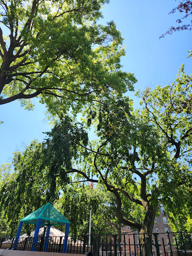 Park «Travers Park», reviews and photos, 76-9 34th Ave, Jackson Heights, NY 11372, USA