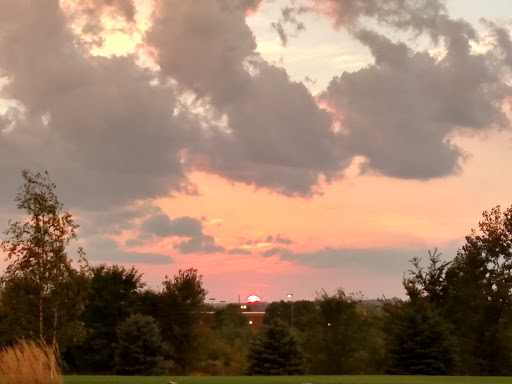 Community Center «Northfield Area Family YMCA», reviews and photos, 1501 Honeylocust Dr, Northfield, MN 55057, USA