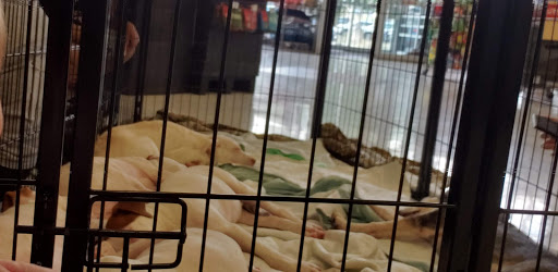 Pet Supply Store «Petco Animal Supplies», reviews and photos, 1933 South Rd, Poughkeepsie, NY 12601, USA