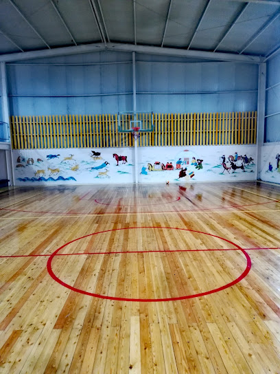 Мандал Спорт Заал - WVMQ+8G5, Ulaanbaatar, Mongolia