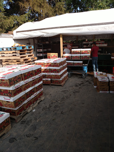 Produce Market «Sunscape Farms», reviews and photos, 1420 Creek St, Rochester, NY 14625, USA