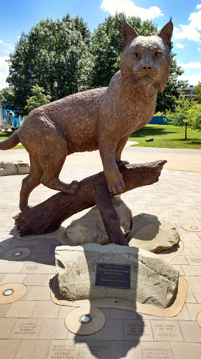 Concert Hall «Singletary Center for the Arts», reviews and photos, 405 Rose St, Lexington, KY 40508, USA