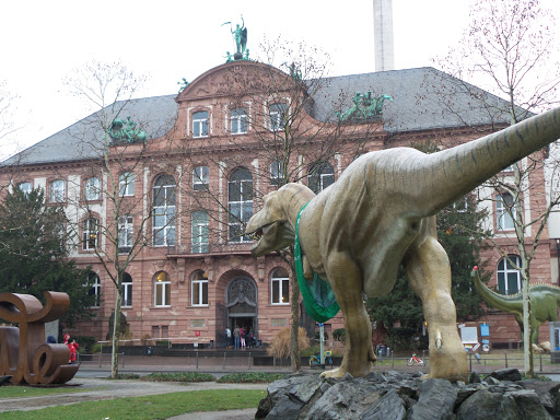 Senckenberg Forschungsinstitut und Naturmuseum