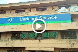 Carlcare Service image