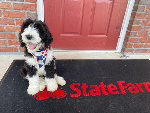 Insurance Agency «Nick Gardiner - State Farm Insurance Agent», reviews and photos