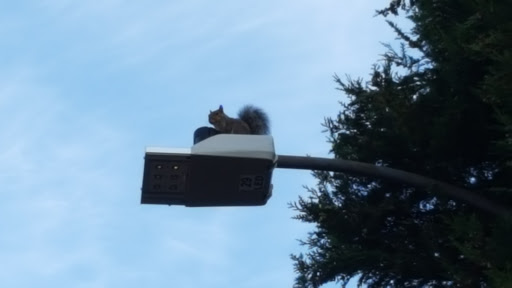 Park «Khunamokwst Park», reviews and photos, 5200 NE Alberta St, Portland, OR 97218, USA