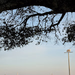 Photo n° 2 de l'avis de Eric. fait le 01/05/2022 à 14:17 pour La Villa Noë à Pornic