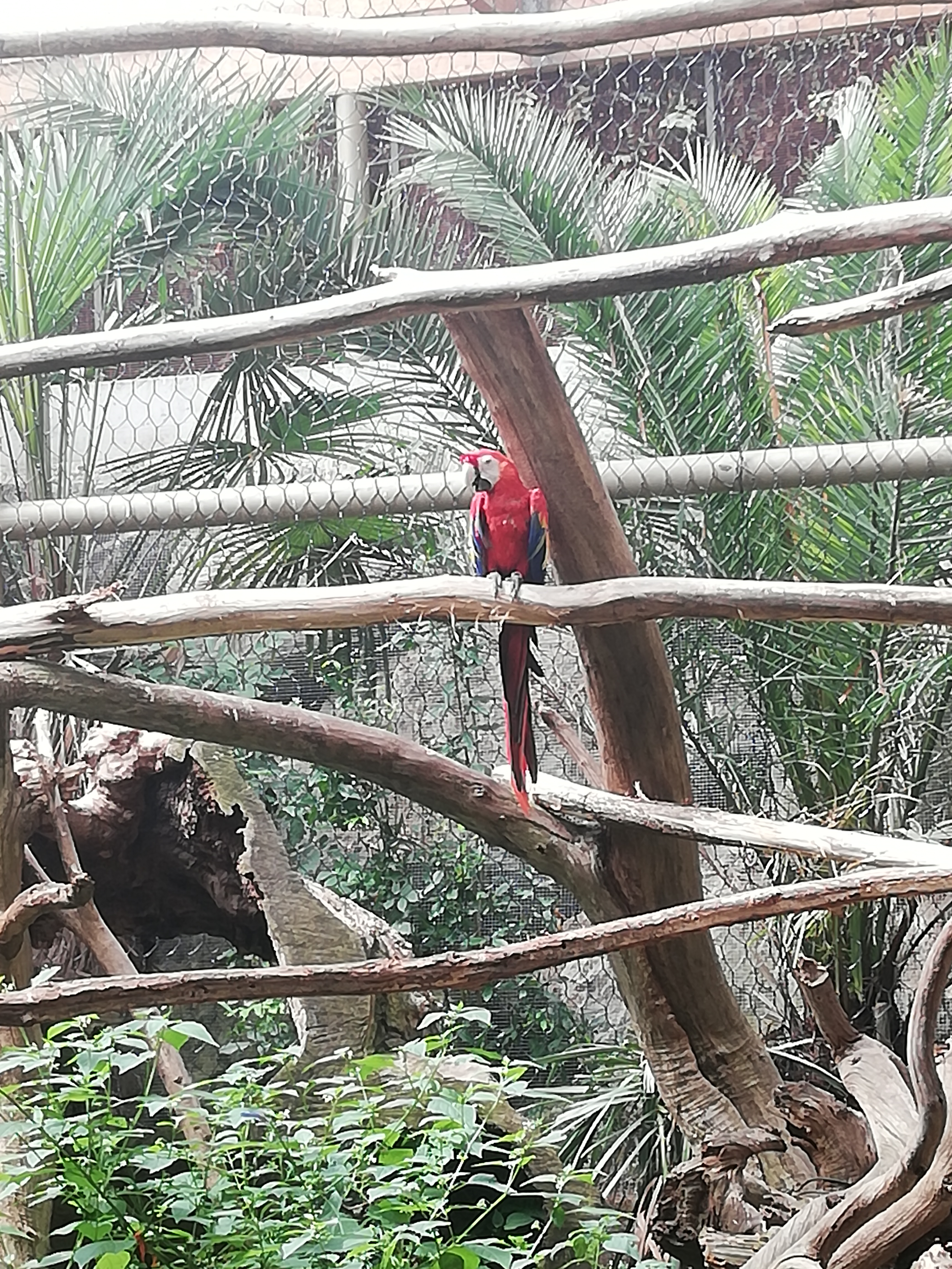 Photo n° 10 de l'avis de Soleil. fait le 20/08/2020 à 12:36