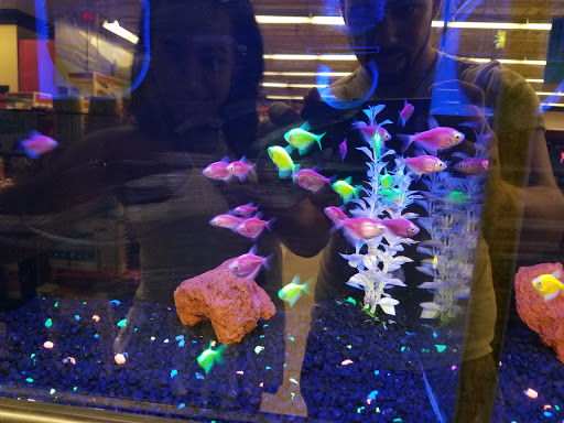 Pet Supply Store «Petco Animal Supplies», reviews and photos, 12014 SW 88th St, Miami, FL 33186, USA