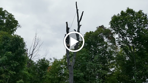 Liquor Store «Mammoth Liquors», reviews and photos, 101 Gardner Ln, Cave City, KY 42127, USA