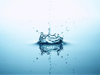 SIMPLISSIM'EAU à Mareil-en-Champagne