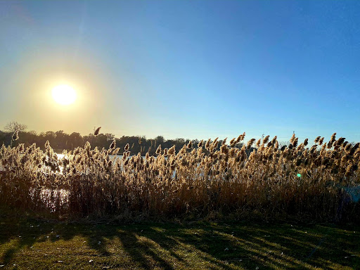 Public Golf Course «Shoreline Golf Course», reviews and photos, 210 Locust St, Carter Lake, IA 51510, USA