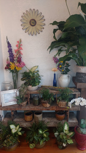 Florist «The Flower Bucket», reviews and photos, 7700 N Lamar Blvd, Austin, TX 78752, USA