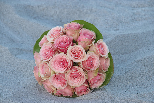 Wedding Planner «Cocoa Beach Weddings», reviews and photos, 266 N Atlantic Ave, Cocoa Beach, FL 32931, USA