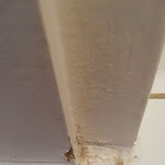 Photo n°5 de l'avis de Kai. fait le 06/09/2023 à 19:45 sur le  Strandhotel Kurhaus Juist à Juist