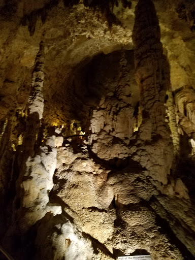 Nature Preserve «Bracken Cave Preserve (Bat Conservation International Inc Events)», reviews and photos, 26101 FM3009, San Antonio, TX 78266, USA