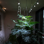 Photo n°1 de l'avis de Kristine.o fait le 17/10/2021 à 17:50 sur le  LINDLEY LINDENBERG à Frankfurt