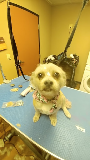 Pet Store «Pet Valu», reviews and photos, 2645 Shillington Rd, Sinking Spring, PA 19608, USA