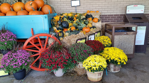 Shopping Mall «Park Ridge Shopping Center», reviews and photos, 2725 W Main St, Eagleville, PA 19403, USA
