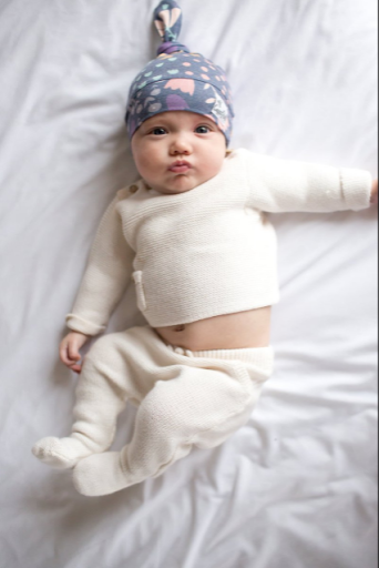 Baby Store «Crunch Natural Parenting», reviews and photos, 1599 Main St, Dunedin, FL 34698, USA