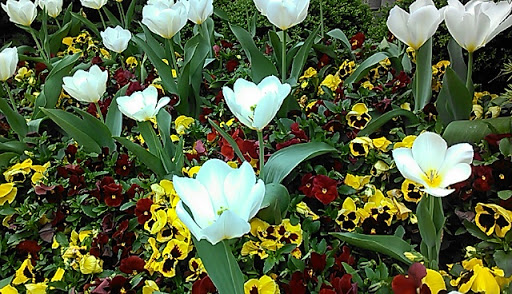 Park «Lafayette Square», reviews and photos, Pennsylvania Ave NW & 16th Street Northwest, Washington, DC 20001, USA