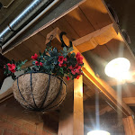 Photo n°2 de l'avis de Jana.. fait le 04/11/2021 à 14:39 sur le  Trattoria Er Caminetto , Ristorante à Fiano Romano