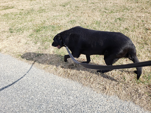 Dog Park «Perry Paw Dog Park», reviews and photos, 9033 Honeygo Blvd, Perry Hall, MD 21128, USA