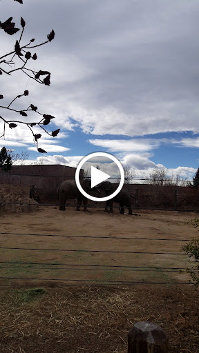 Zoo «Monkey Island», reviews and photos, 8 E 23rd Ave, Denver, CO 80205, USA