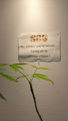 Coutineau Florence Chiropracteur à Vertou