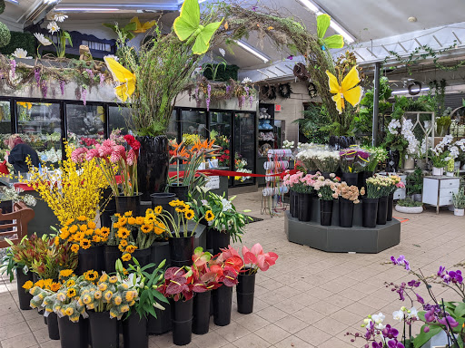 Florist «Metropolitan Plant & Flower», reviews and photos, 840 NJ-17, Paramus, NJ 07652, USA