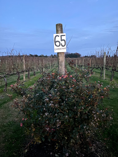 Winery «Working Dog Winery», reviews and photos, 610 Windsor Perrineville Rd, Robbinsville, NJ 08691, USA