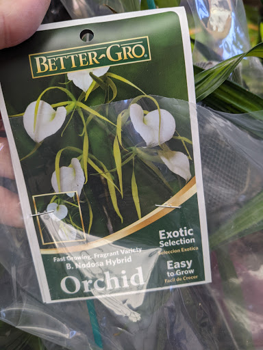 Pet Supply Store «Petco Animal Supplies», reviews and photos, 30697 US Hwy 19 N, Palm Harbor, FL 34684, USA