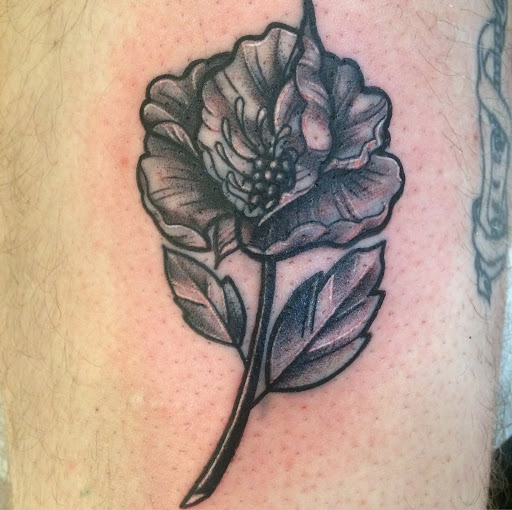 Explore trafalgar law tattoo ideas, creative tattoo ideas in Chapel Hill, available at Golden Falcon Tattoo and Piercing