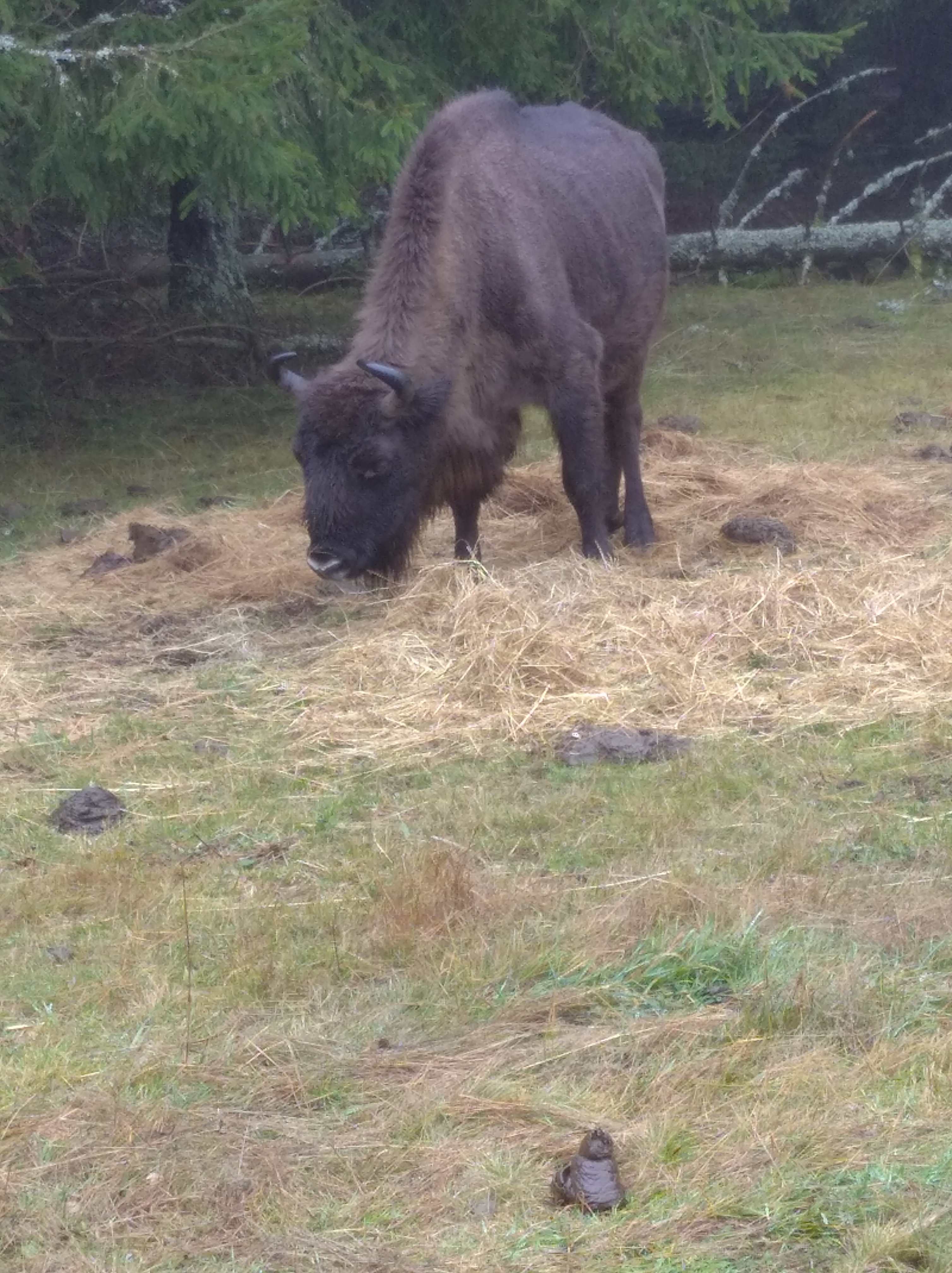 Photo n° 5 de l'avis de Sandrine.J fait le 04/01/2022 à 20:49