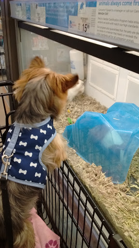 Pet Supply Store «Petco Animal Supplies», reviews and photos, 5925 US-6, Portage, IN 46368, USA