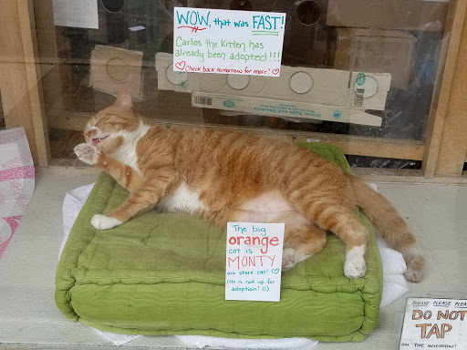 Pet Supply Store «Rittenhouse Square Pet Supply», reviews and photos, 135 S 20th St, Philadelphia, PA 19103, USA